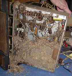 View of Full Nest in Luxor Chassis